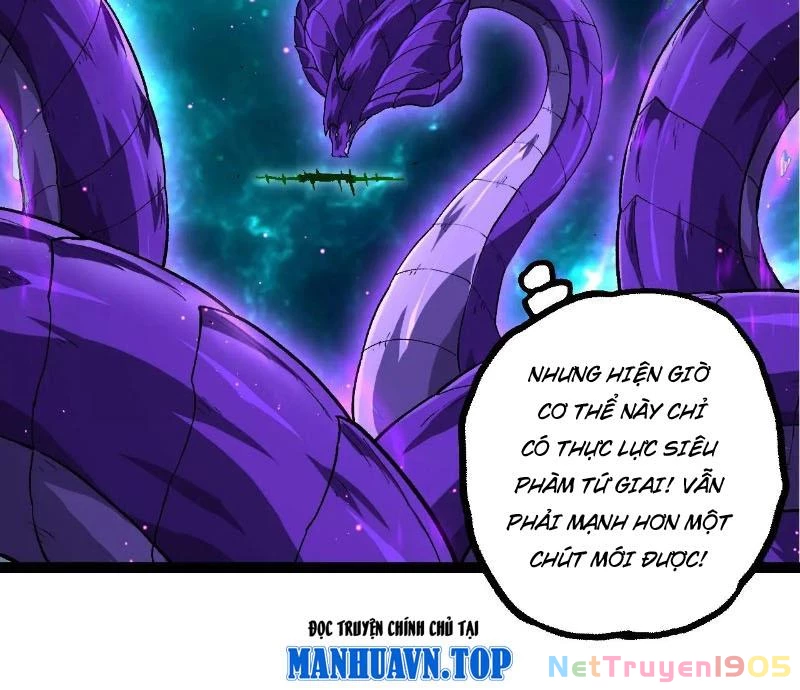 Chuyển Sinh Thành Liễu Đột Biến Chapter 378 - 13