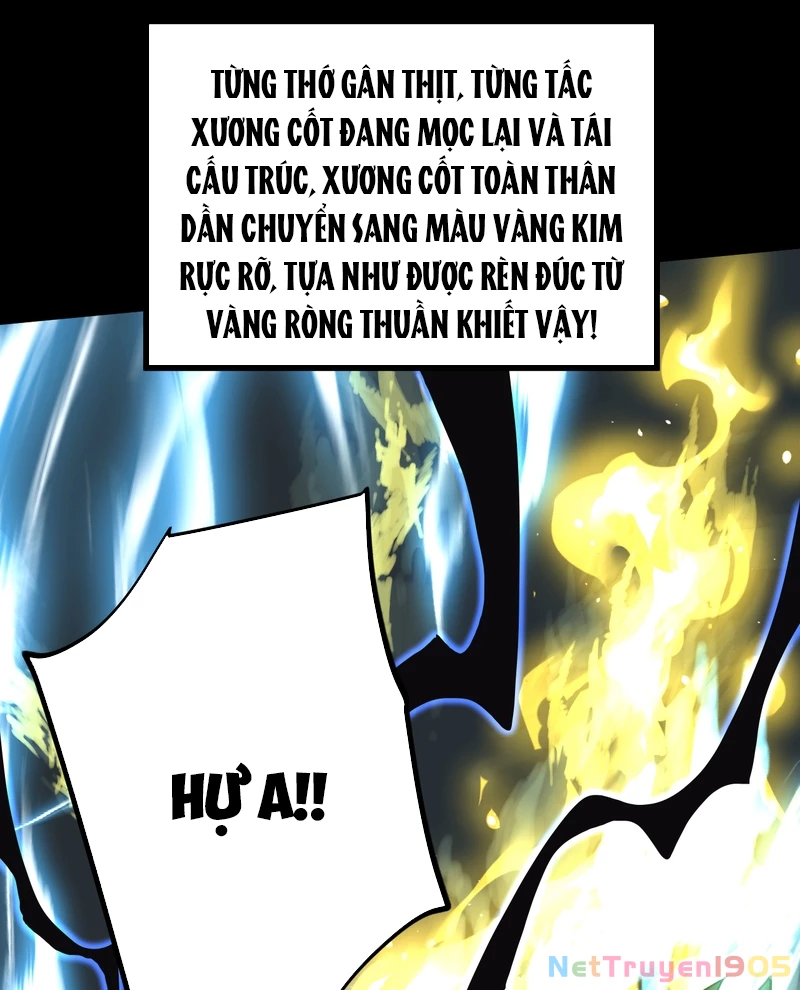 Cao Võ: Hạ Cánh Đến Một Vạn Năm Sau Chapter 222 - 114