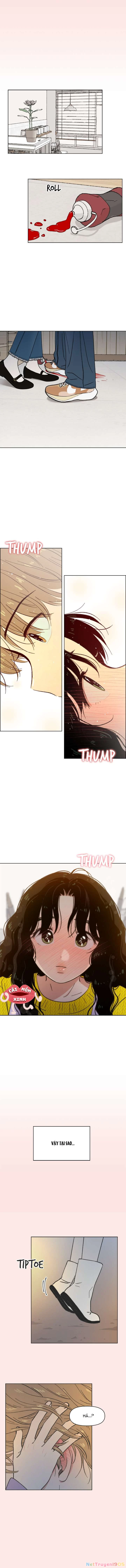 Thanh Xuân Đáng Yêu Chapter 26 - 2