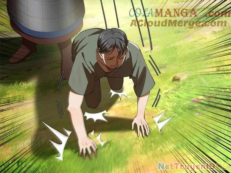 Chàng Rể Mạnh Nhất Lịch Sử Chapter 301 - 11