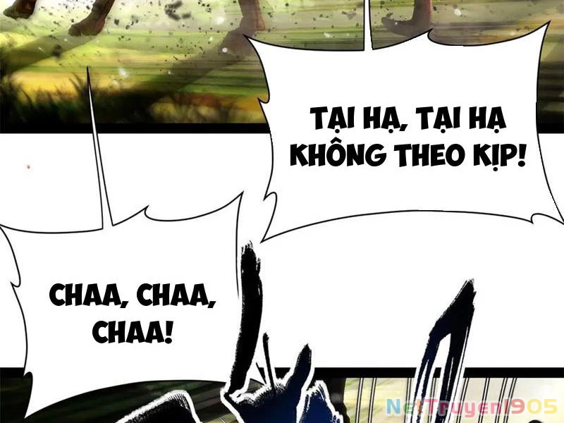 Chàng Rể Mạnh Nhất Lịch Sử Chapter 301 - 34