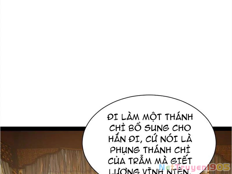 Chàng Rể Mạnh Nhất Lịch Sử Chapter 302 - 74