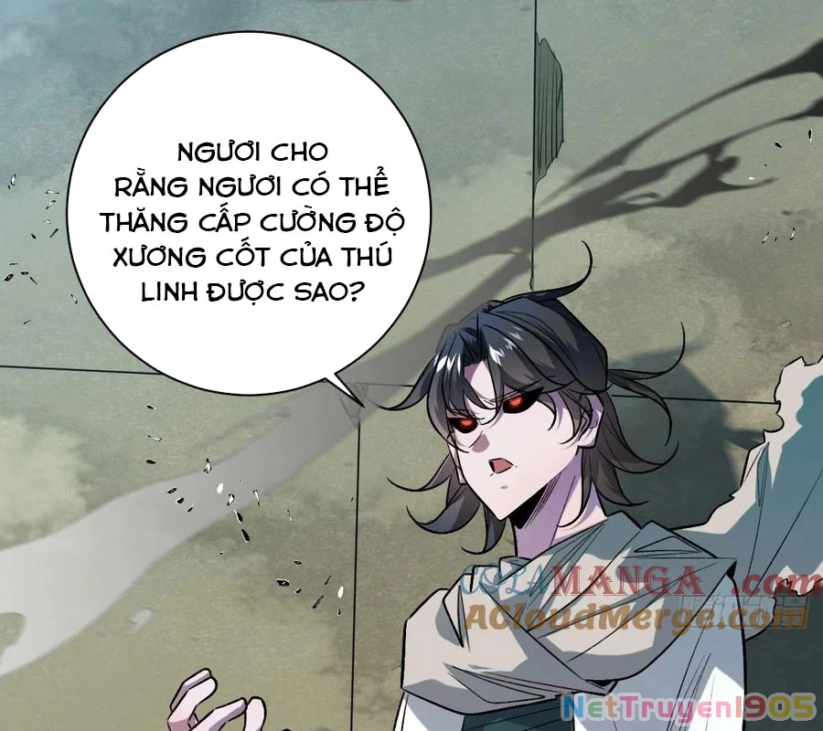 Vĩnh sinh đi chết đi! Chapter 28 - 13