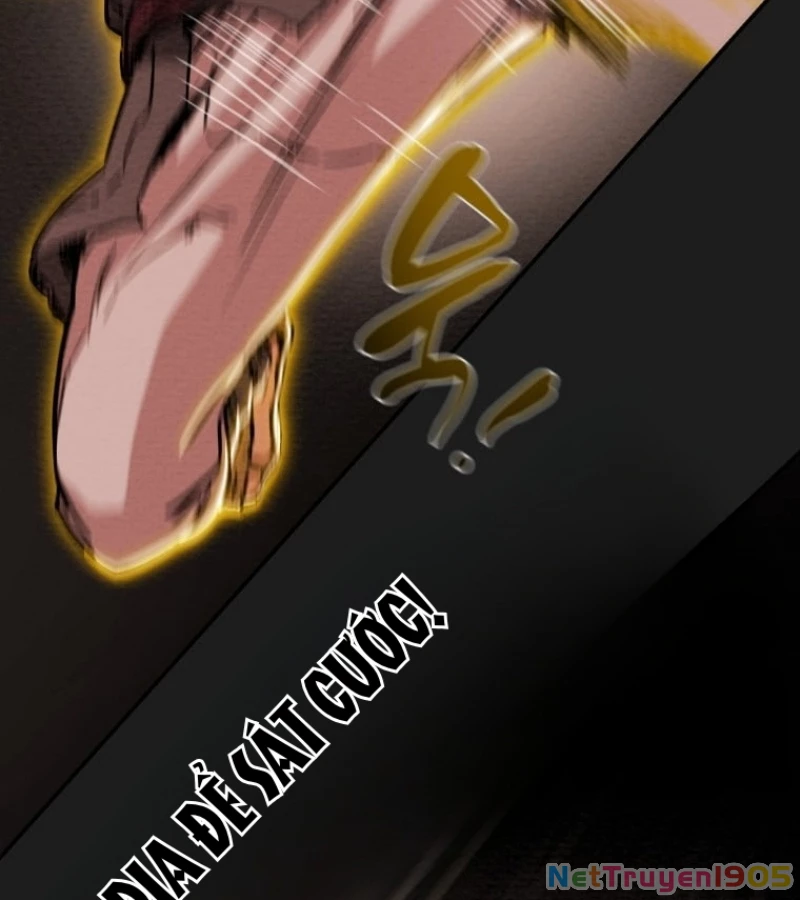 Thiên Quang Minh Nguyệt Chapter 28 - 82