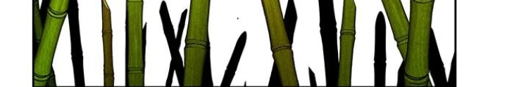 Cửa Hàng Đồ Cổ Tương Lai Chapter 28 - 34