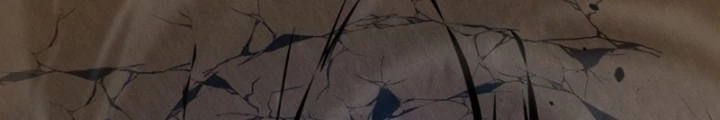 Sát Long Nhân Hồi Quy Siêu Việt Chapter 41 - 226