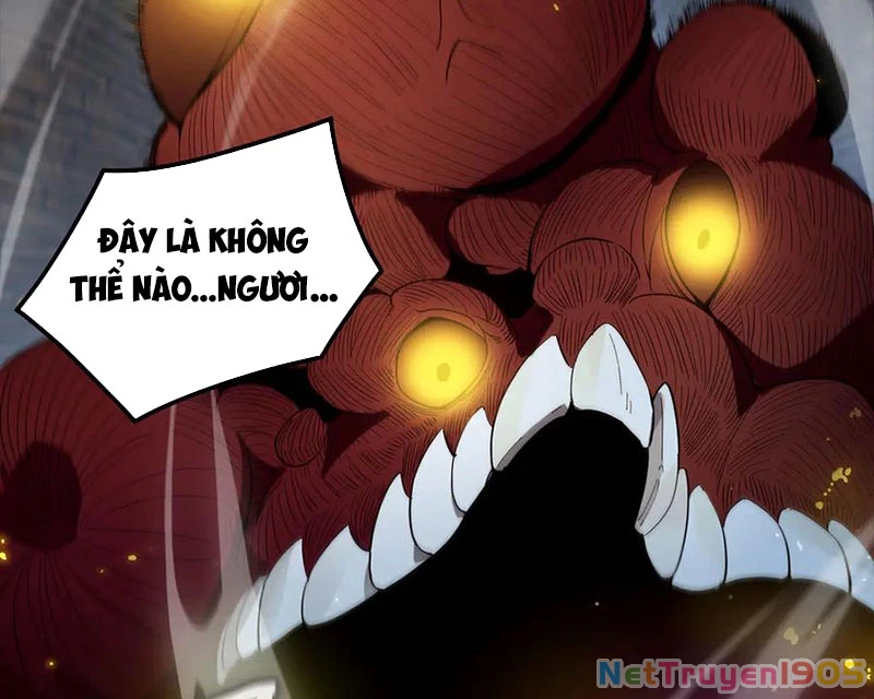 Thánh Hiệp Sĩ Cấp Sss Chapter 77 - 142