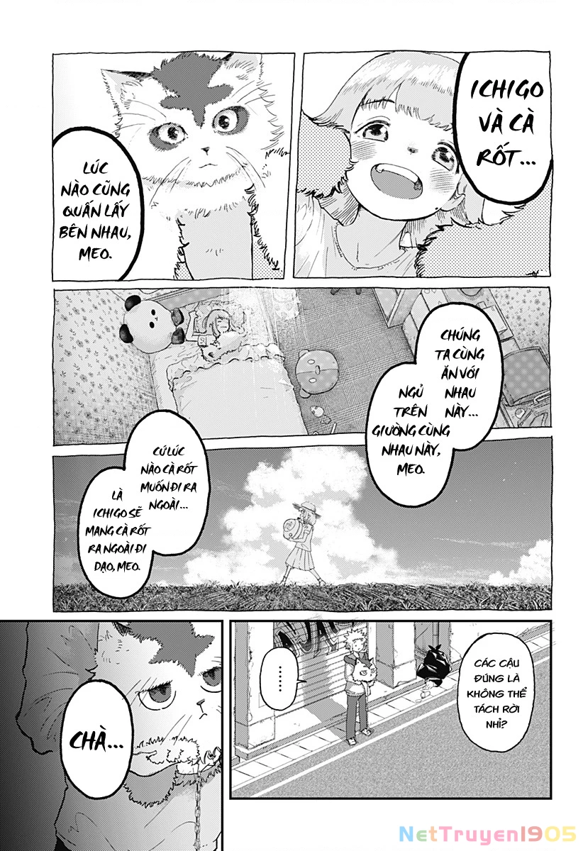 Ngôi sao tương giao Chapter 8 - 12