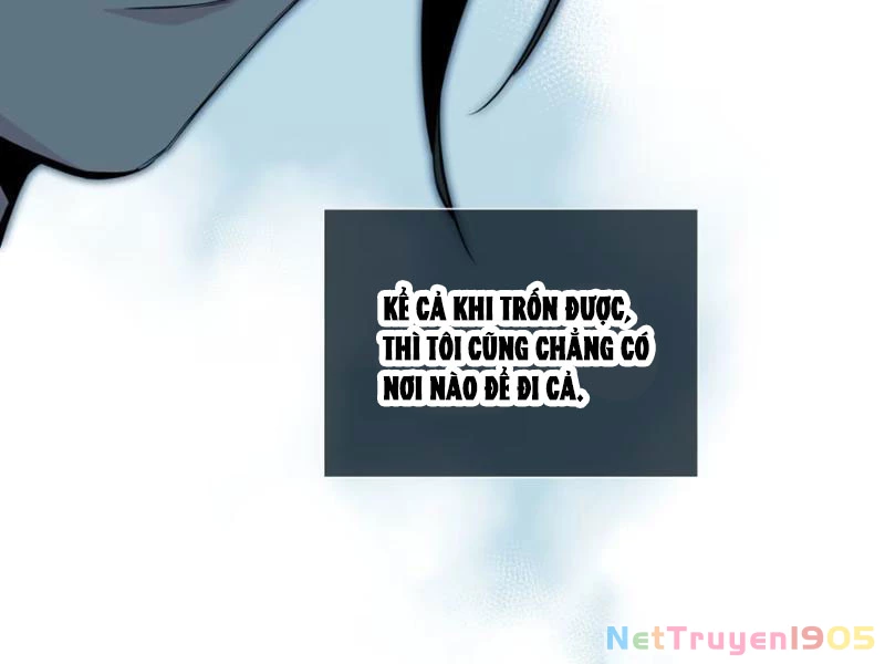 Hung Tinh Mê Hoặc - Máy Mô Phỏng Loạn Thế Chapter 2 - 111