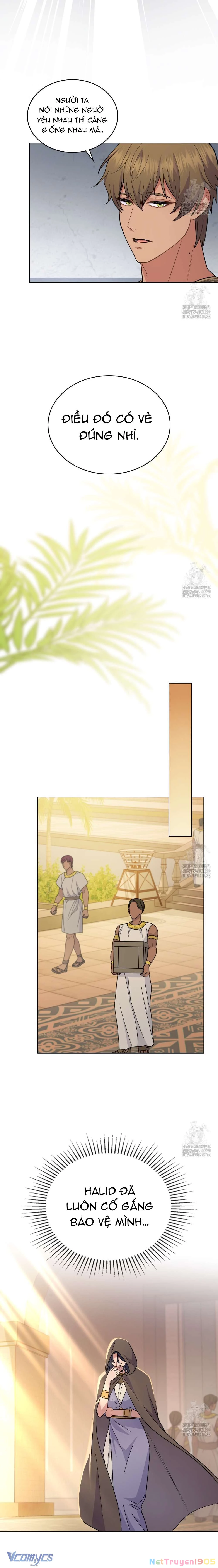 Hôn Nhân Giả Dối Chapter  79 - 15