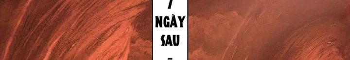 Đại Tần: Ta Con Trai Tần Thủy Hoàng Giết Địch Thăng Cấp Thành Thần Chapter 205 - 18