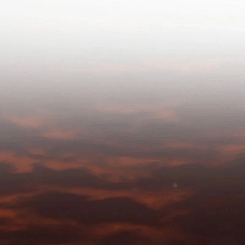 Wild Ranker Chapter 2 - 77