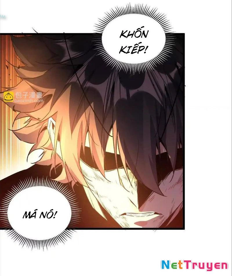 Mạt Thế Cẩu Sinh: Gián Giúp Ta Chồng Buff Chapter 42 - 11