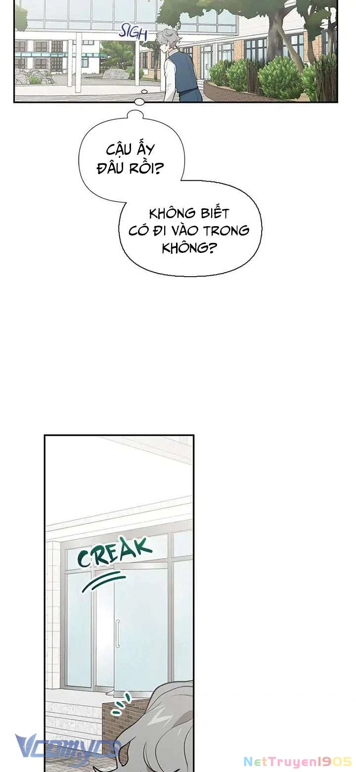 Điều Ước Sao Băng Chapter 48 - 19