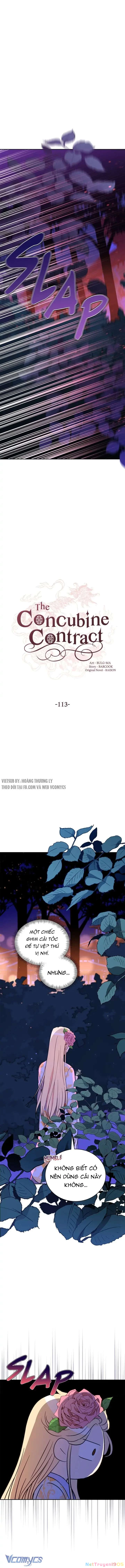 Ái Phi, Dao Của Nàng Rơi Rồi Chapter  113 - 5