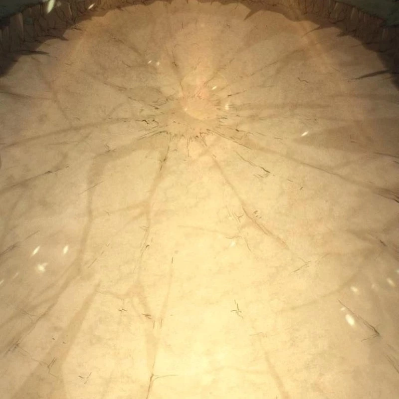 Wild Ranker Chapter 5 - 149