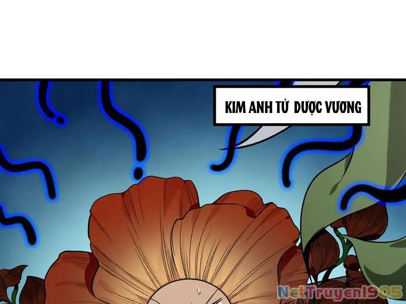 Gặp Mạnh Thì Mạnh, Ta Tu Vi Vô Thượng Hạn Chapter 48 - 3