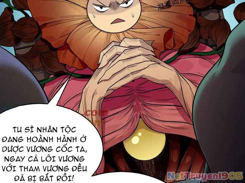 Gặp Mạnh Thì Mạnh, Ta Tu Vi Vô Thượng Hạn Chapter 48 - Trang 2