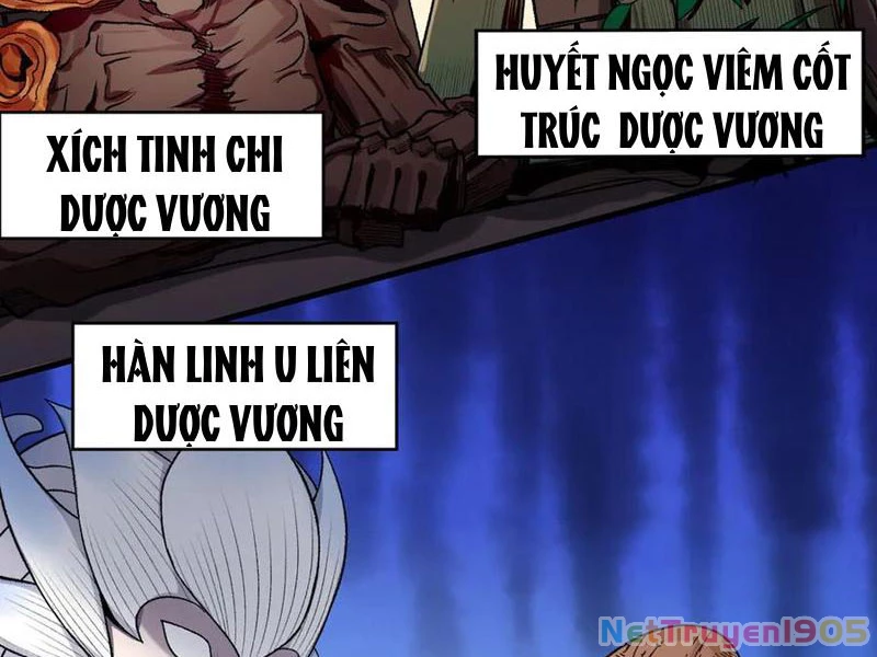 Gặp Mạnh Thì Mạnh, Ta Tu Vi Vô Thượng Hạn Chapter 48 - Trang 2