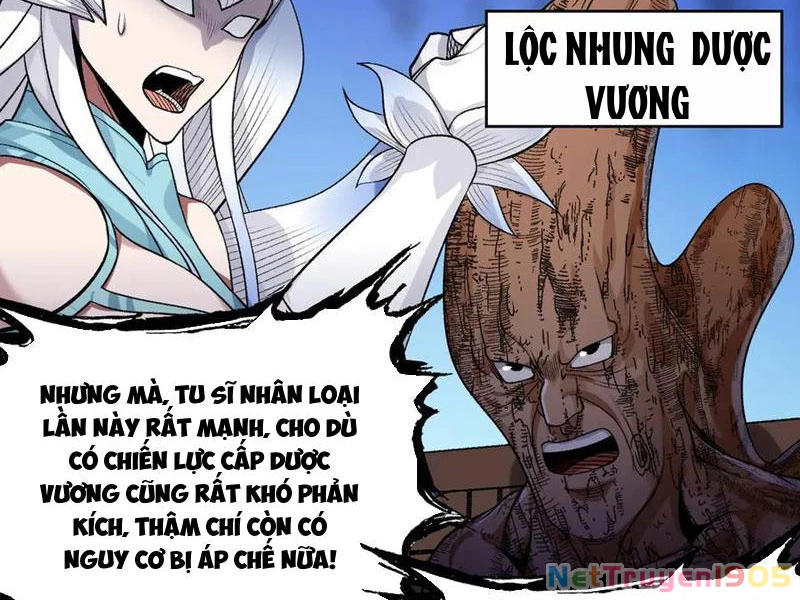 Gặp Mạnh Thì Mạnh, Ta Tu Vi Vô Thượng Hạn Chapter 48 - Trang 2