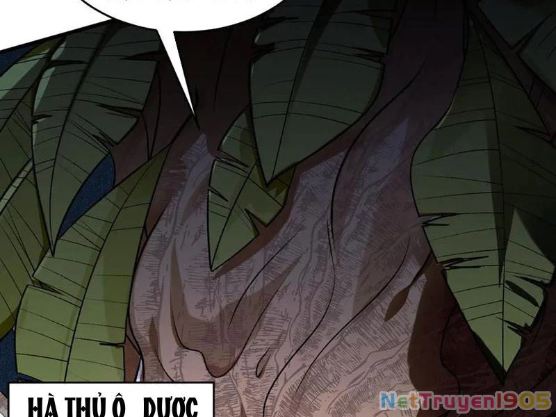 Gặp Mạnh Thì Mạnh, Ta Tu Vi Vô Thượng Hạn Chapter 48 - 11