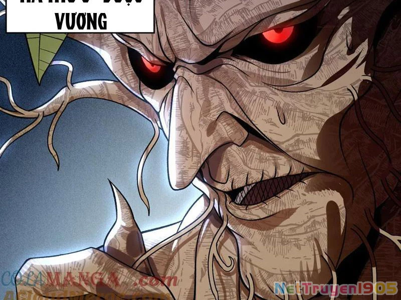 Gặp Mạnh Thì Mạnh, Ta Tu Vi Vô Thượng Hạn Chapter 48 - 12