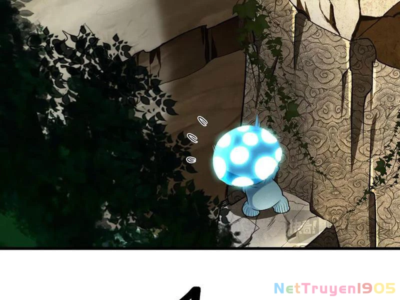 Gặp Mạnh Thì Mạnh, Ta Tu Vi Vô Thượng Hạn Chapter 48 - 47