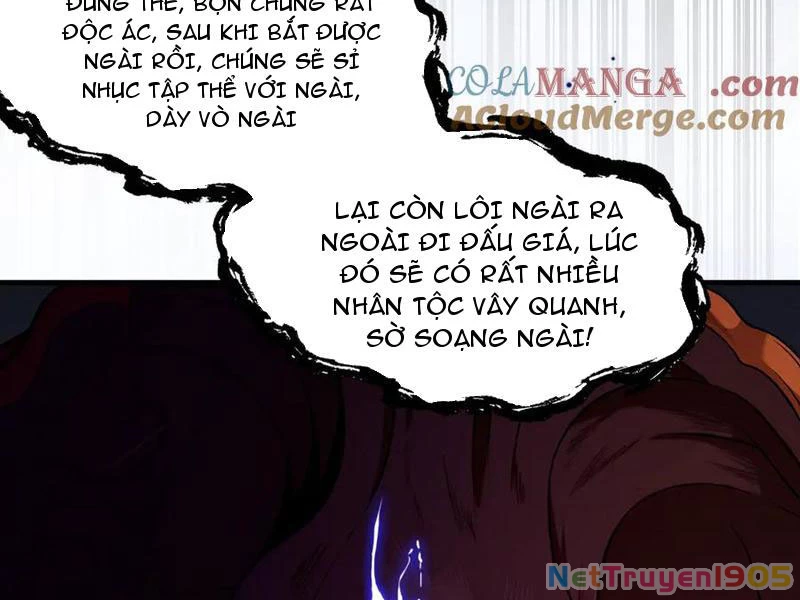 Gặp Mạnh Thì Mạnh, Ta Tu Vi Vô Thượng Hạn Chapter 48 - 60