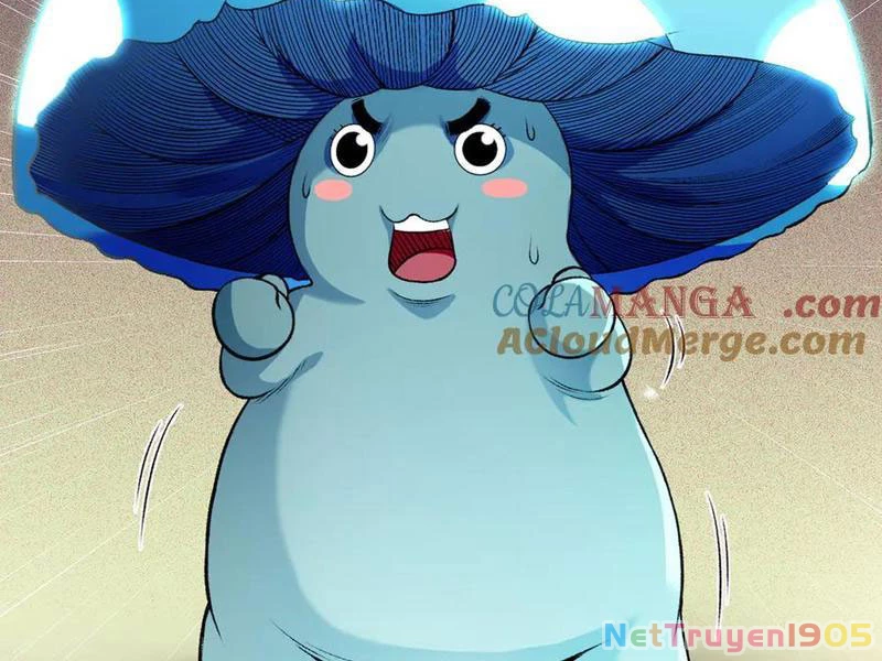 Gặp Mạnh Thì Mạnh, Ta Tu Vi Vô Thượng Hạn Chapter 48 - 68