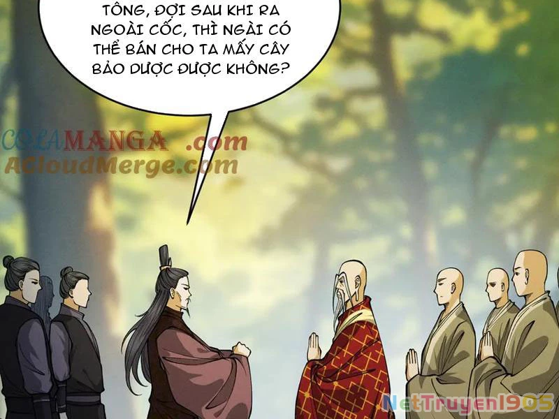 Gặp Mạnh Thì Mạnh, Ta Tu Vi Vô Thượng Hạn Chapter 48 - 76