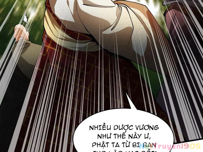 Gặp Mạnh Thì Mạnh, Ta Tu Vi Vô Thượng Hạn Chapter 48 - 93