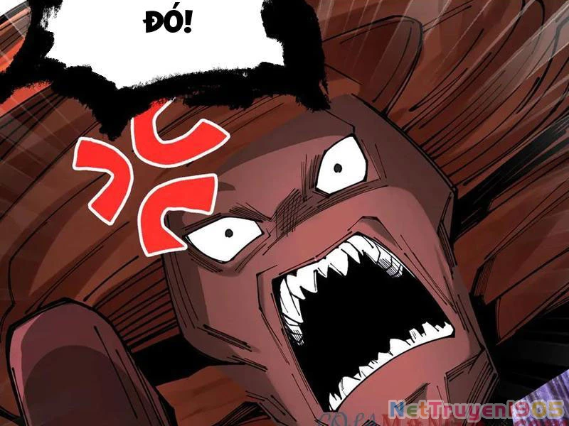 Gặp Mạnh Thì Mạnh, Ta Tu Vi Vô Thượng Hạn Chapter 48 - 107