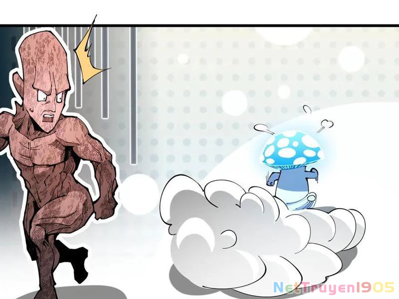 Gặp Mạnh Thì Mạnh, Ta Tu Vi Vô Thượng Hạn Chapter 48 - 114