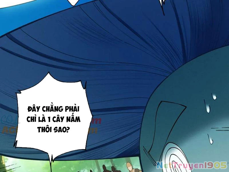 Gặp Mạnh Thì Mạnh, Ta Tu Vi Vô Thượng Hạn Chapter 48 - Trang 2