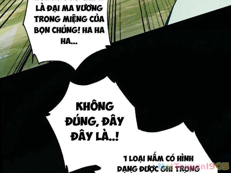 Gặp Mạnh Thì Mạnh, Ta Tu Vi Vô Thượng Hạn Chapter 48 - Trang 2