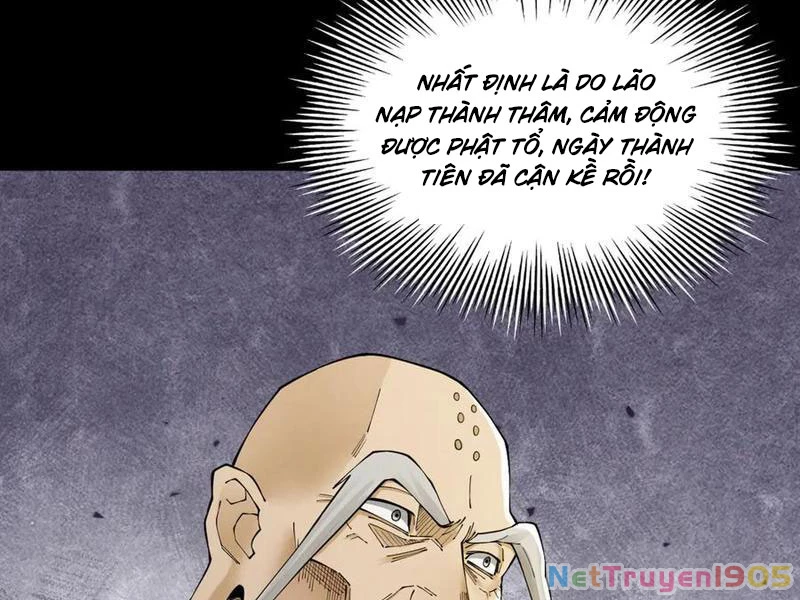 Gặp Mạnh Thì Mạnh, Ta Tu Vi Vô Thượng Hạn Chapter 48 - Trang 2
