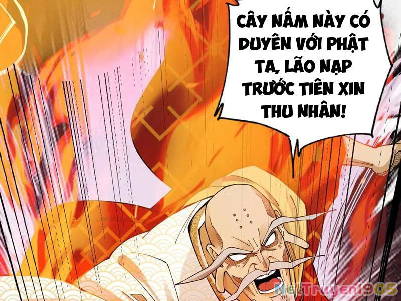 Gặp Mạnh Thì Mạnh, Ta Tu Vi Vô Thượng Hạn Chapter 48 - Trang 2
