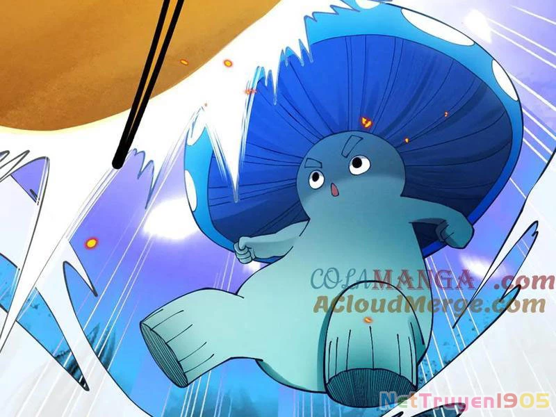 Gặp Mạnh Thì Mạnh, Ta Tu Vi Vô Thượng Hạn Chapter 48 - Trang 2
