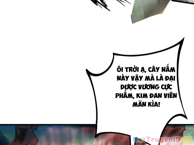 Gặp Mạnh Thì Mạnh, Ta Tu Vi Vô Thượng Hạn Chapter 48 - 141