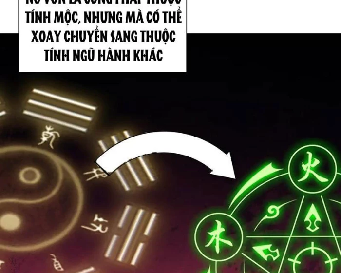 Ma tu tái sinh: Khởi đầu nhặt được một hành tinh zombie Chapter 41 - 89