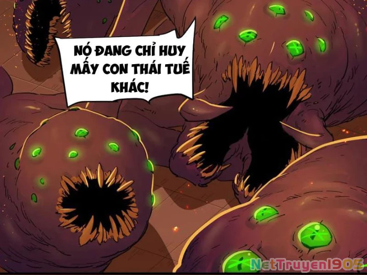 Hộp mãnh thú: Kỷ nguyên cơ giáp Chapter 37 - Trang 2