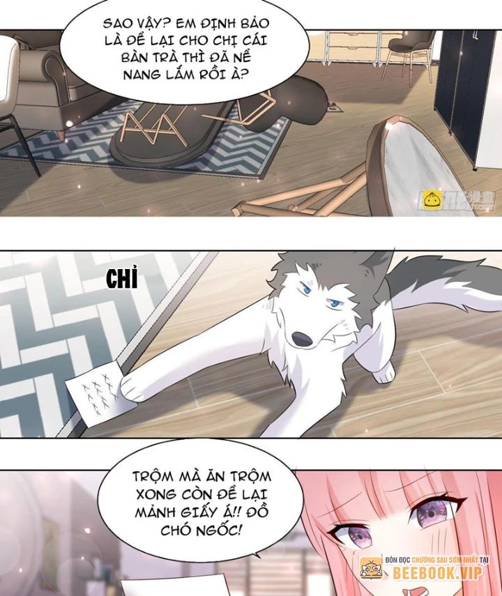Trọng Sinh Thành Chó Của Nữ Thần Chapter 401 - Trang 2