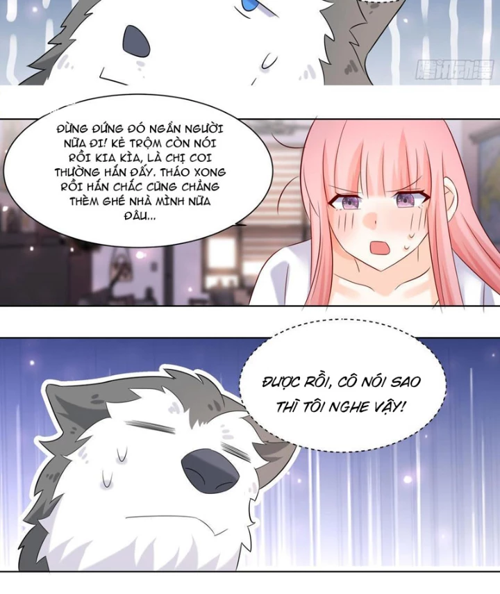 Trọng Sinh Thành Chó Của Nữ Thần Chapter 401 - Trang 2