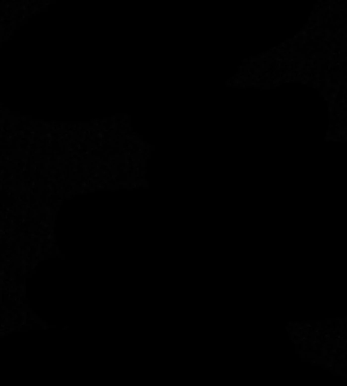 Hắc Bạch Hồ Ly Độc Tâm Côn Luân Kiếm Tuyến Bạch Bệnh Chi Chủ Chapter 37 - 14