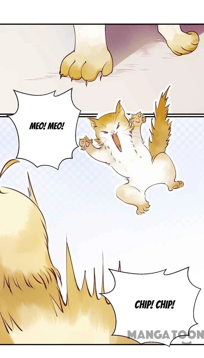 Nhất Phẩm Đích Nữ Chapter 46 - 11