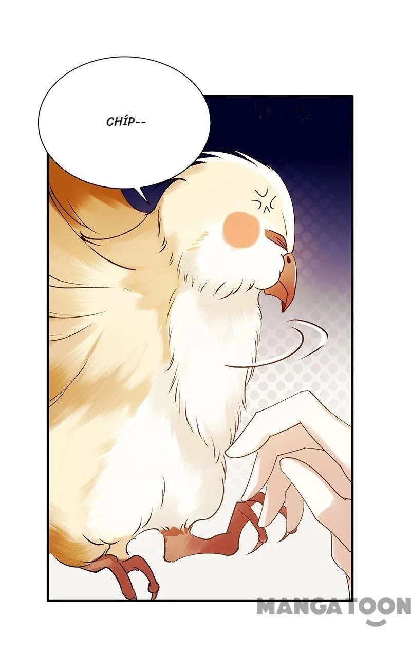 Nhất Phẩm Đích Nữ Chapter 50 - 8