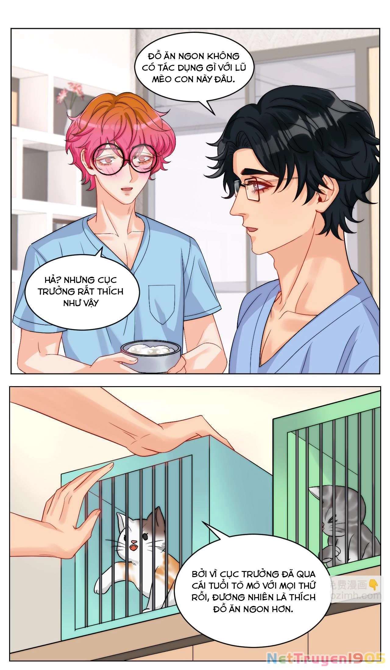 Ký Túc Xá Nam Phòng 303 Chapter 249 - 13