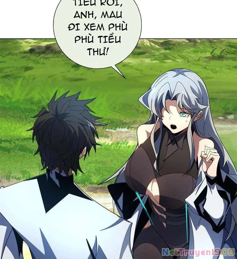 Ta Thành Vương Giả Từ Khắc Kim Chapter 33 - 14
