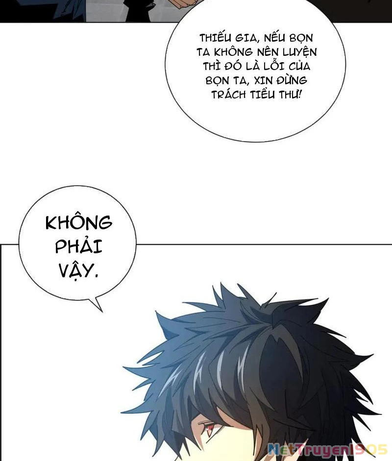 Ta Thành Vương Giả Từ Khắc Kim Chapter 33 - 59