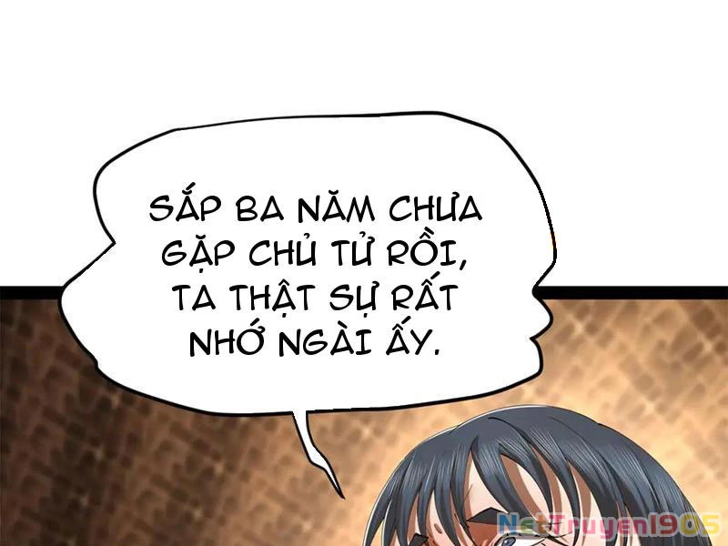 Chàng Rể Mạnh Nhất Lịch Sử Chapter 303 - 15